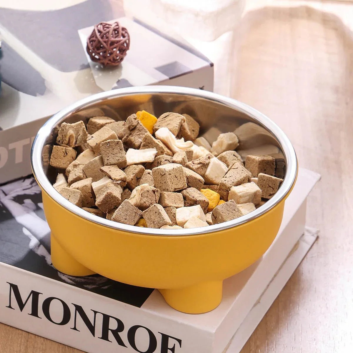 Gamelle Inox Pour Chien Design Et Résistante