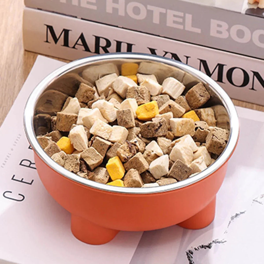 Gamelle Inox Pour Chien Design Et Résistante