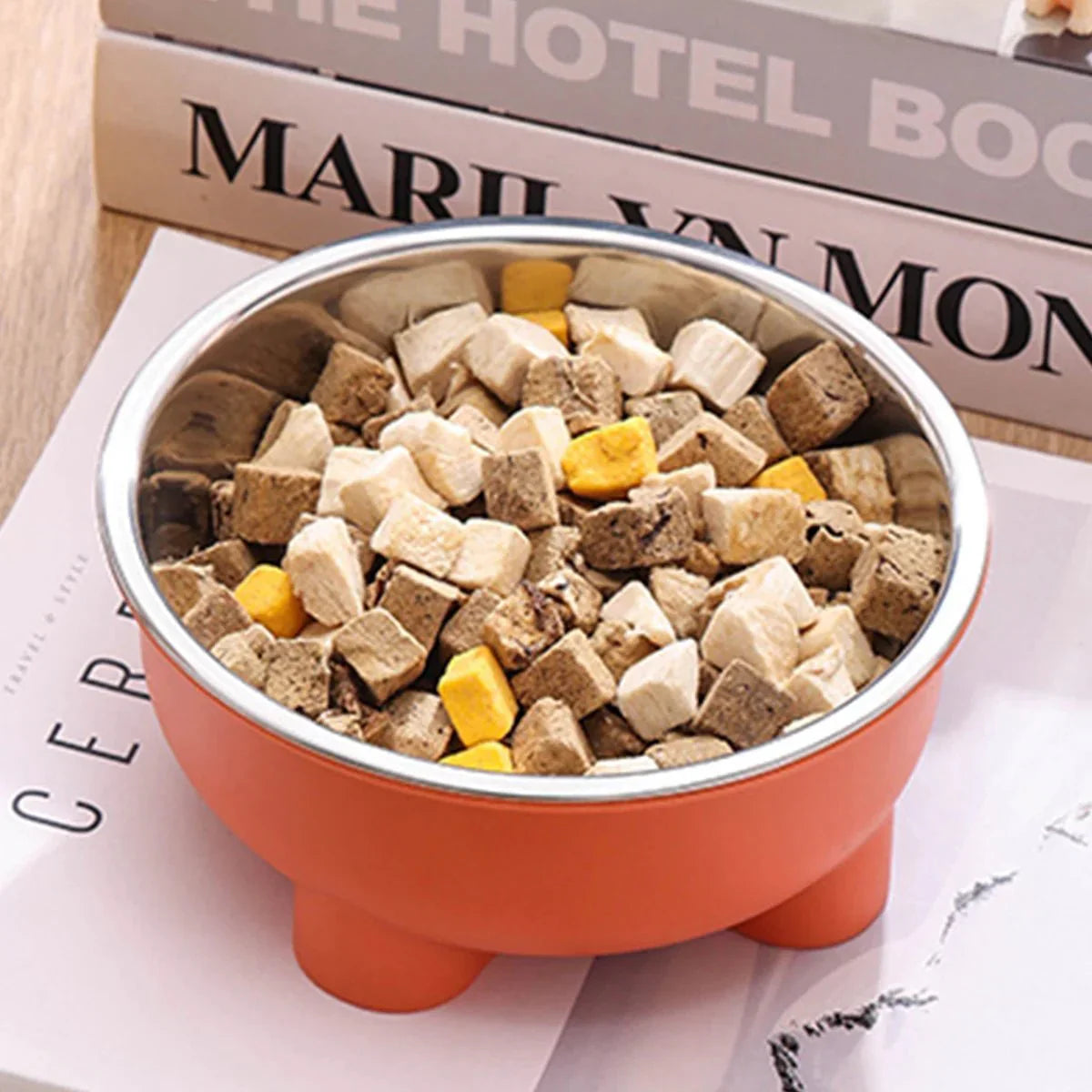 Gamelle Inox Pour Chien Design Et Résistante