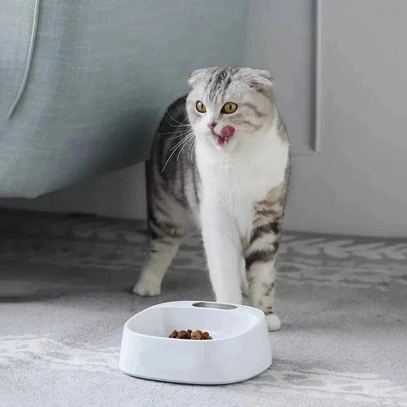 Gamelle intelligente pour chat et chien avec balance