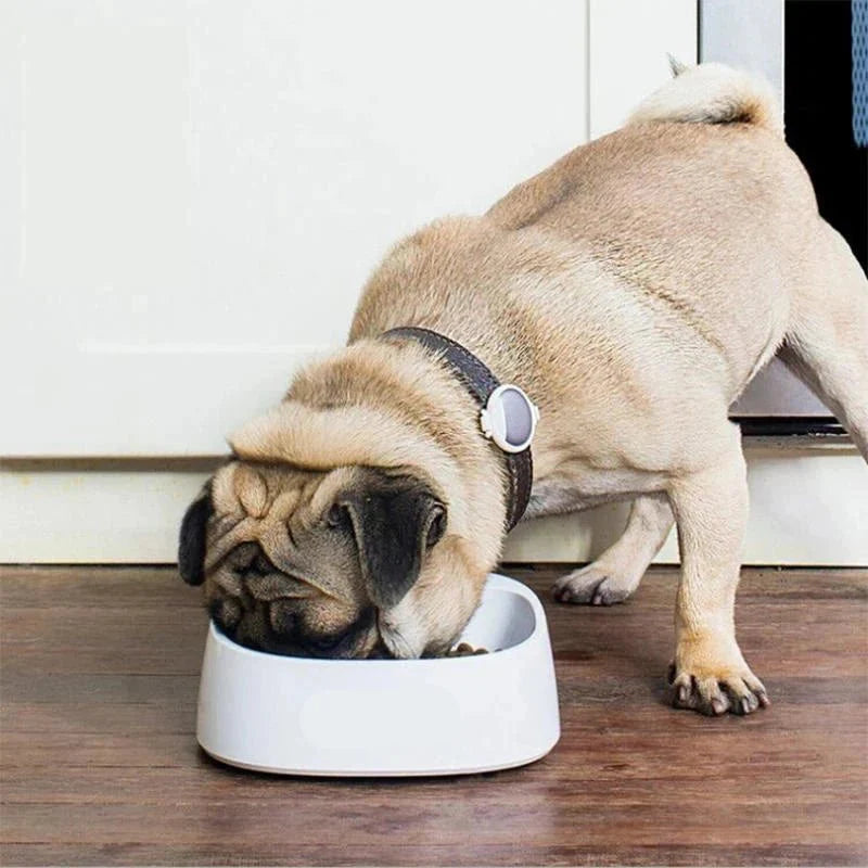 Gamelle intelligente pour chat et chien avec balance
