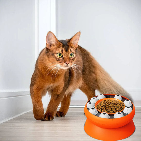 gamelle interactive chat | PUZZLEBOWL