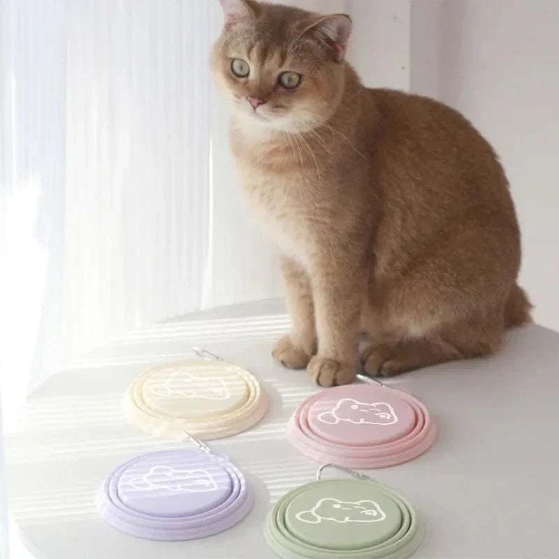 Gamelle Légère Portable Pour Chien Et Chat