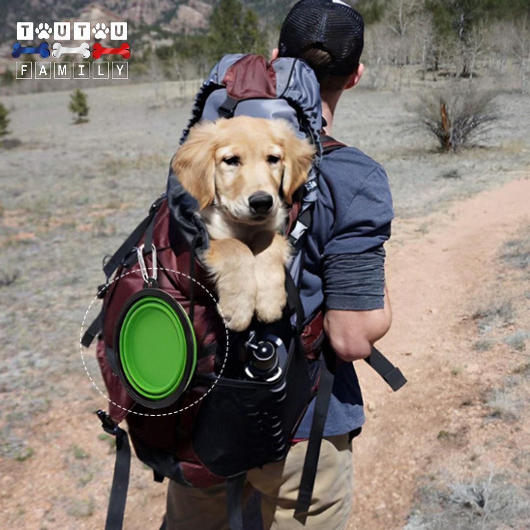 Gamelle pliable chien - GlobeToutou™