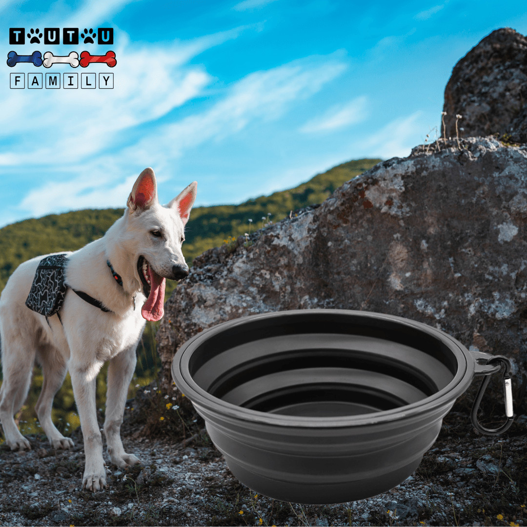 Gamelle-pliable-chien-compacte avec mousqueton, vendues par lot de deux, robuste et solide et lavable en lave-vaisselle, disponible en 3 modèles : 350ml, 1L, 1,5L pour chien de toutes tailles, pour utilisation en voyage, à l'exterieur, en sortie, en promenade pour croquette, nourriture ou eau-un chien en balade avec son maitre et ses gamelles noires pliable et compacte