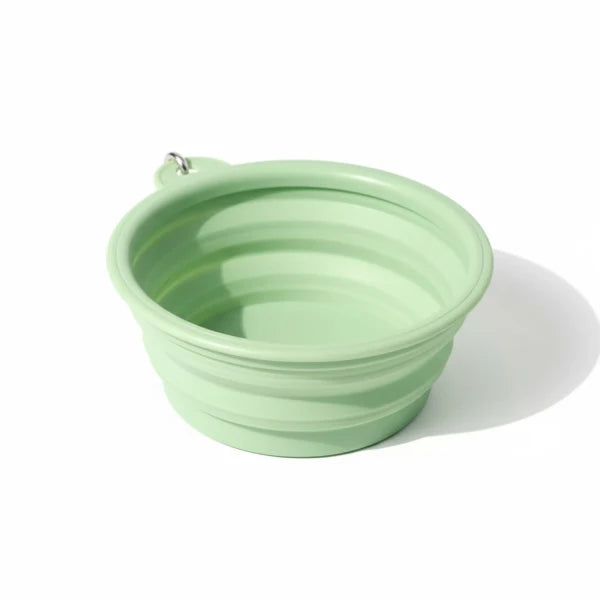 Gamelle pliable pour chien chat en silicone vert, facile à transporter et à ranger.