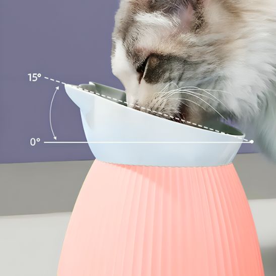 gamelle pour chat | Délice Félin