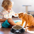 gamelle-pour-chat-bol-de-ronron