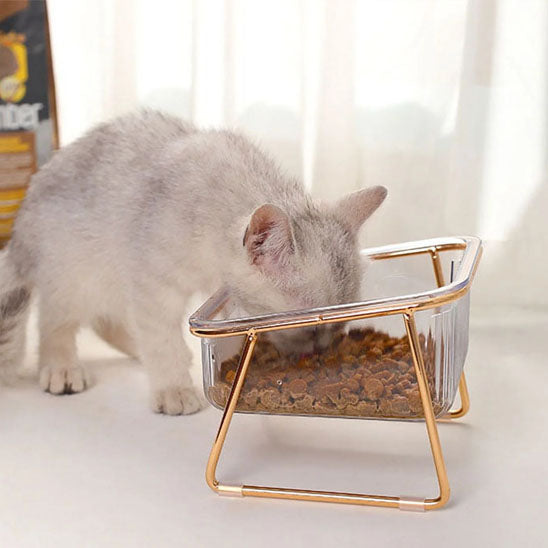 Gamelle pour chat | Surélevée & Chic