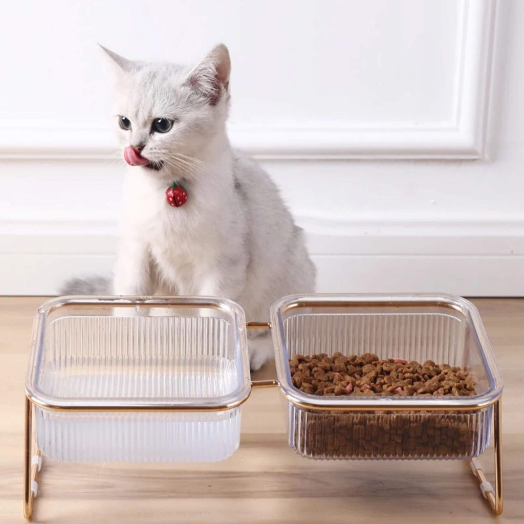 Gamelle pour chat | Surélevée & Chic