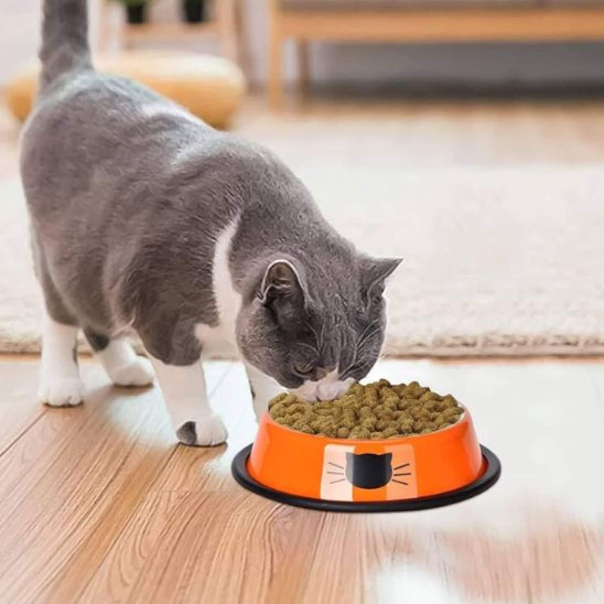 gamelle-pour-chat-durable