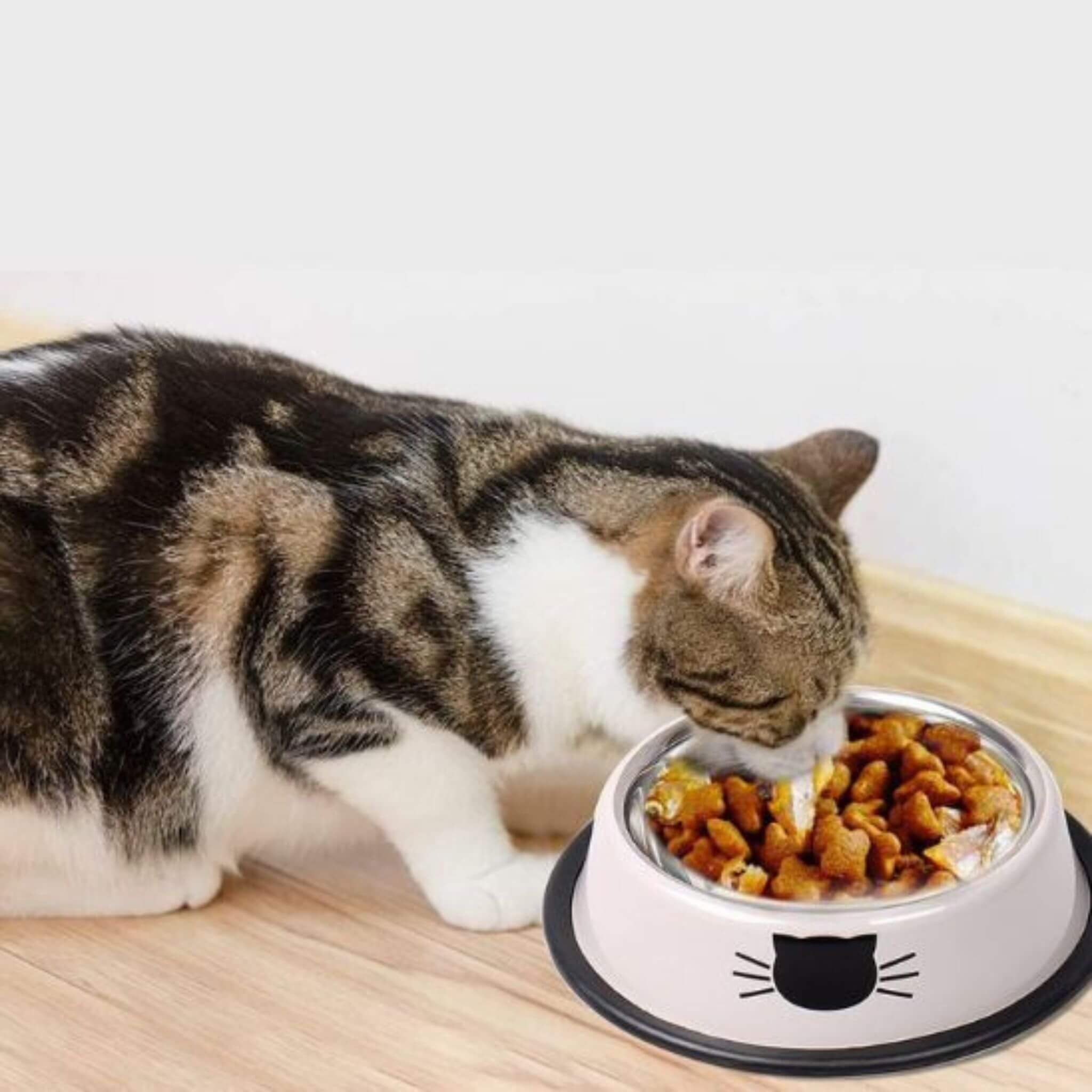 gamelle pour chat | Bol de Ronron