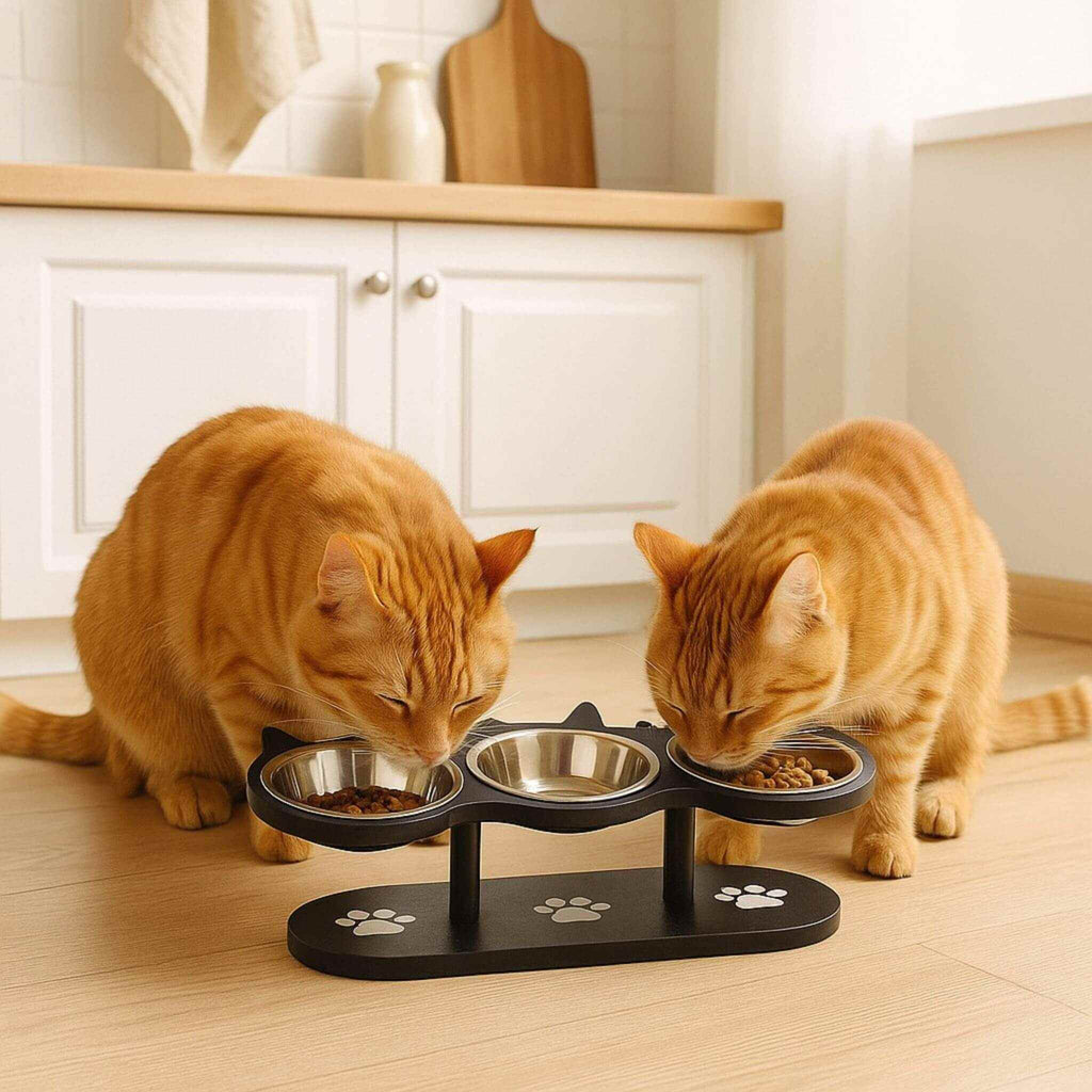 gamelle pour chat | Trio d’Oreilles