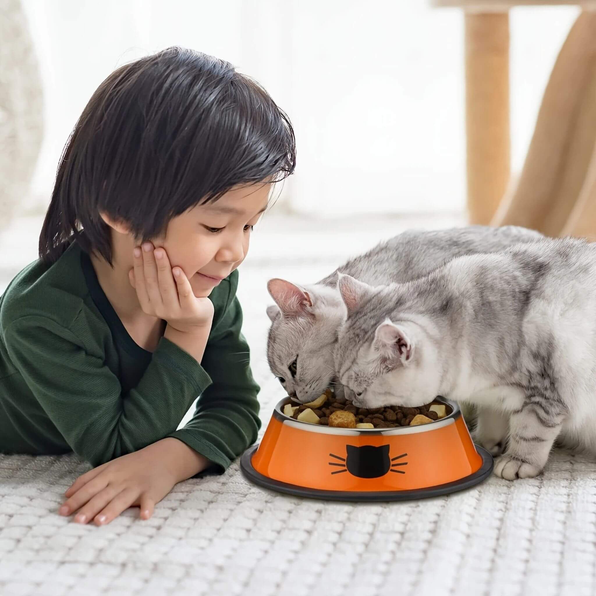 gamelle pour chat | Bol de Ronron