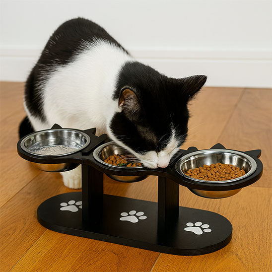 gamelle pour chat | Trio d’Oreilles