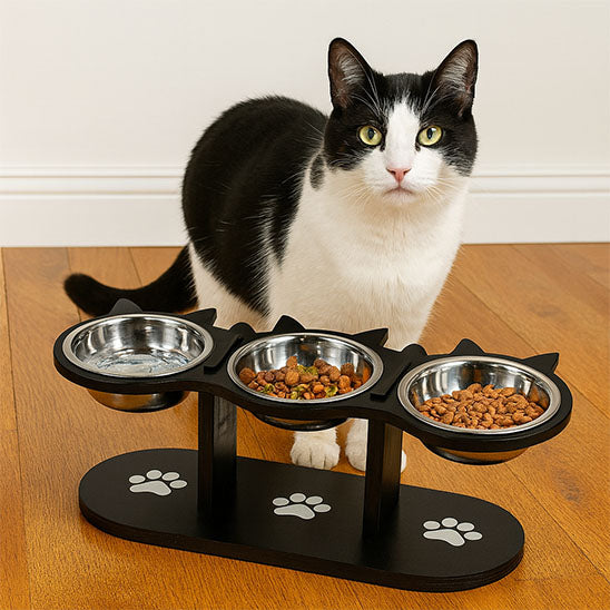 gamelle pour chat | Trio d’Oreilles