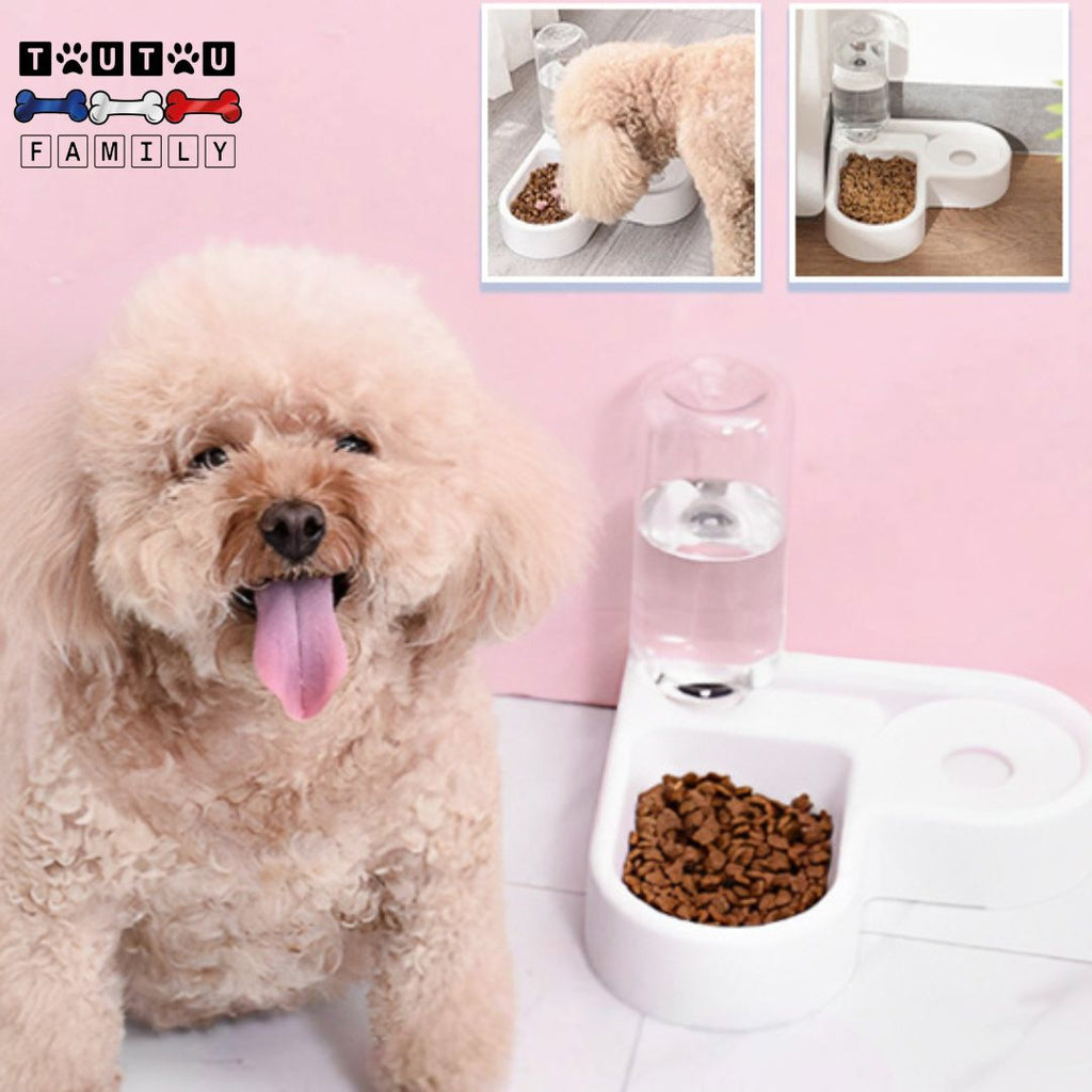 Gamelle pour petit chien - DésaltèreToutou™