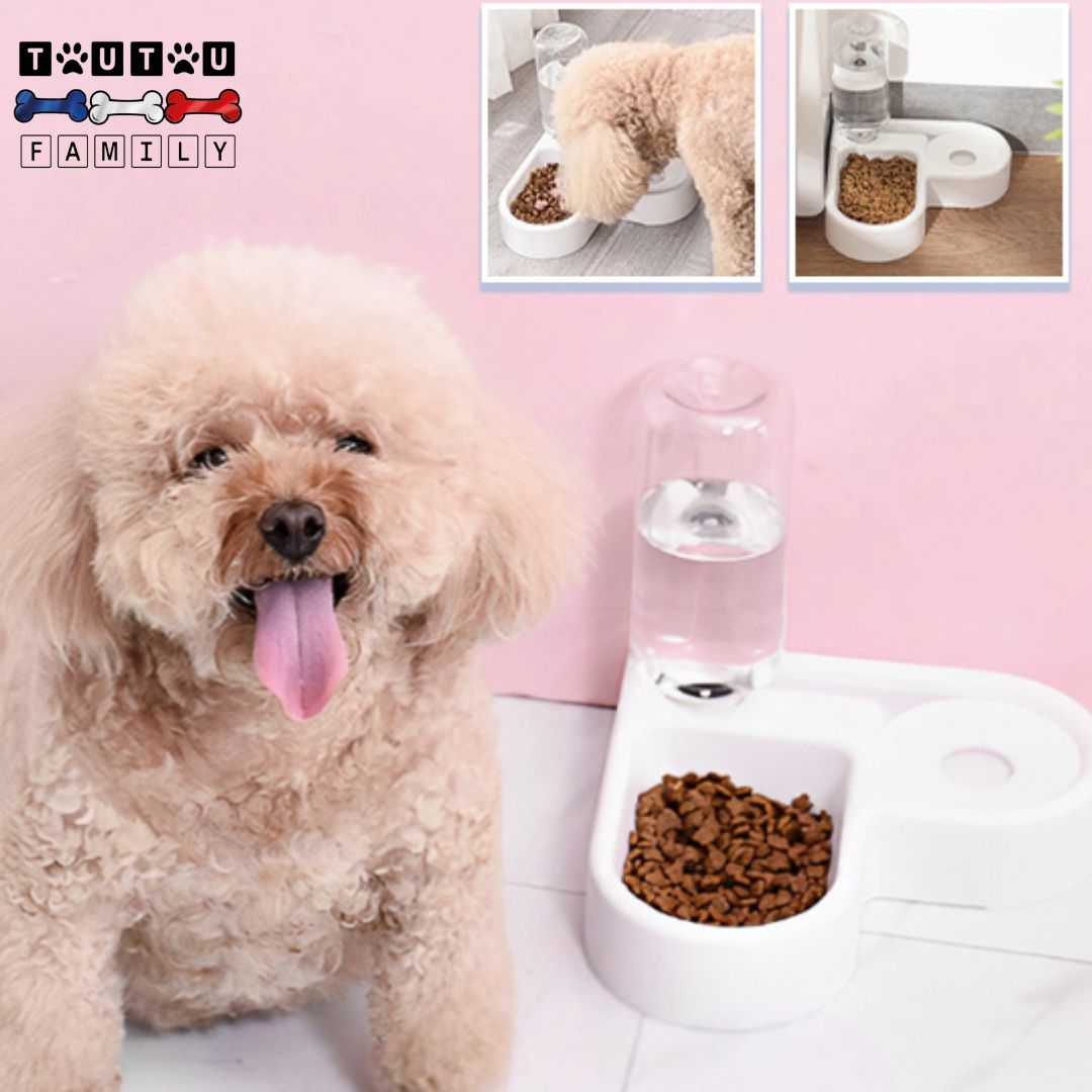 Gamelle pour petit chien - DésaltèreToutou™