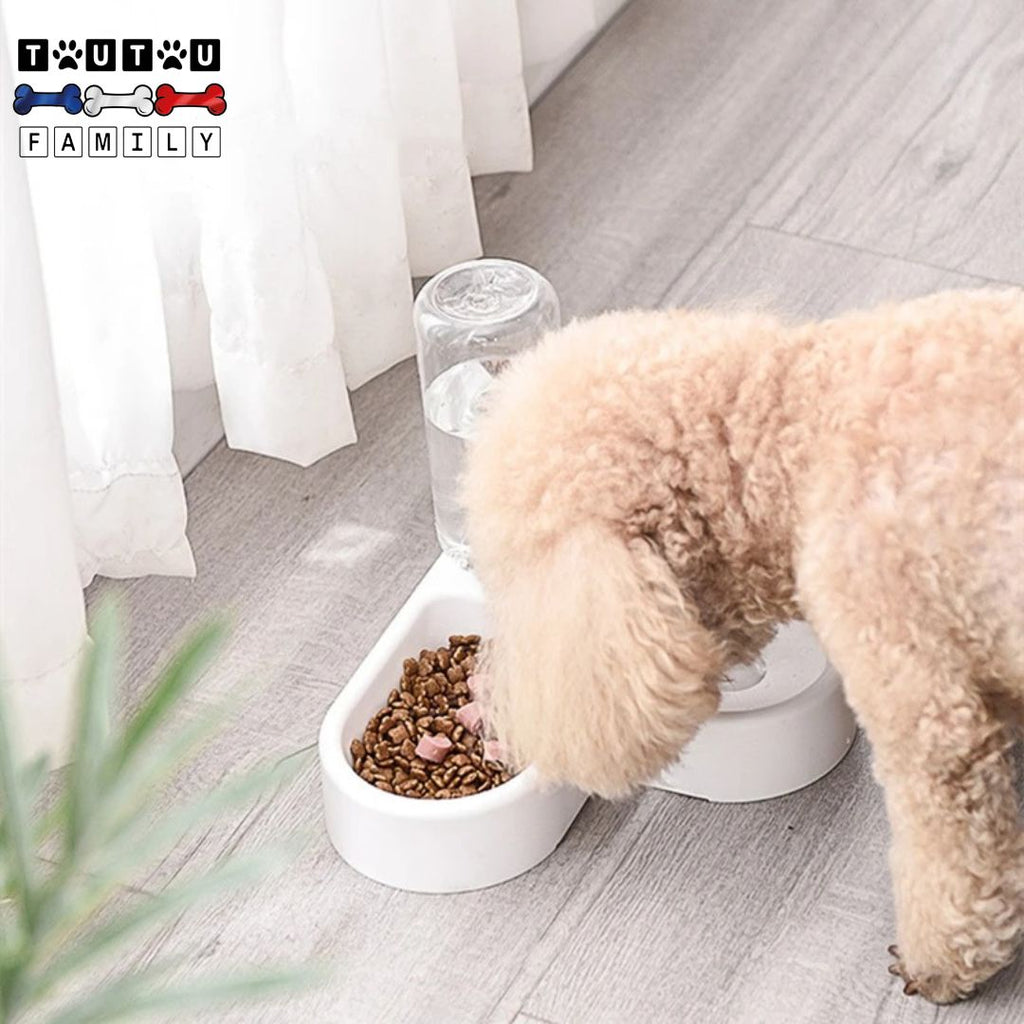 Gamelle pour petit chien - DésaltèreToutou™