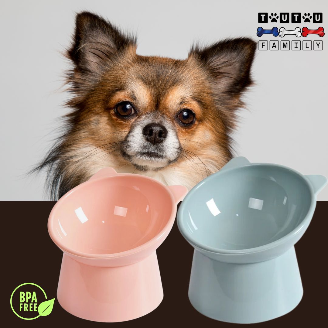 Gamelle pour petit chien - DesignToutou™