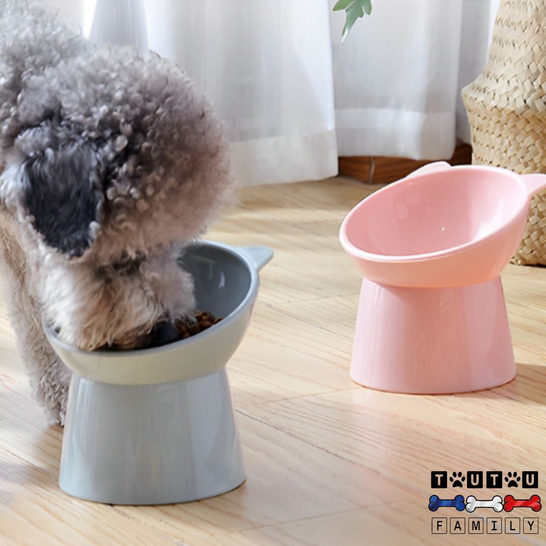 Gamelle pour petit chien - DesignToutou™