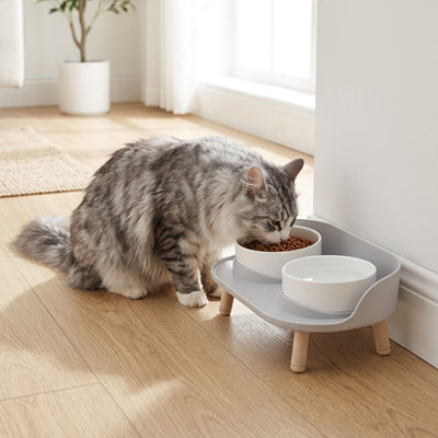 gamelle surélevée chat | CHAREGAL
