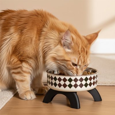 Gamelle surélevée chat | Élévation Chique