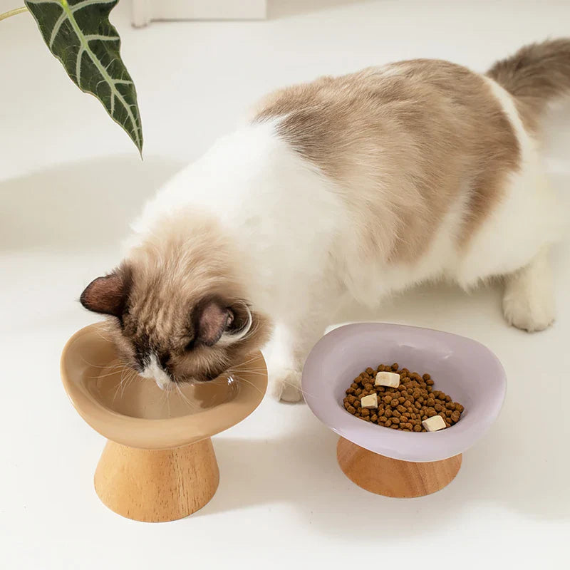 Gamelle Surélevée Inclinée Sur Support En Bois Pour Chat