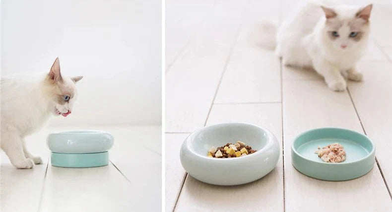 Gamelle pour chat céramique surélevée – Oscar et Plume