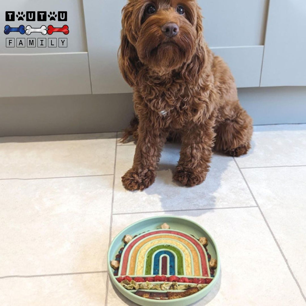 Gamelles anti glouton chien - DigesteToutou™