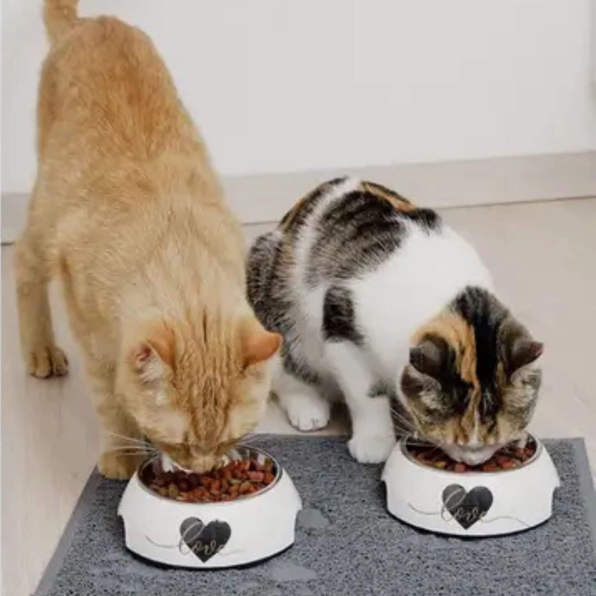 Gamelles chat Duo Love