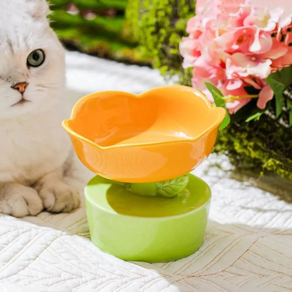 Gamelles En Céramique Fleurs Pour Petit Chien Ou Chat