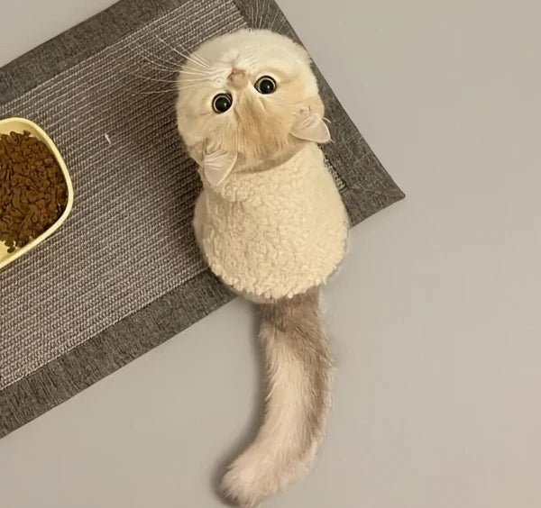 Gilet Chaud Effet Laine Agneau Pour Chat