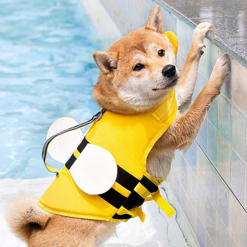 Gilet pour chien haute visibilité et sécurité