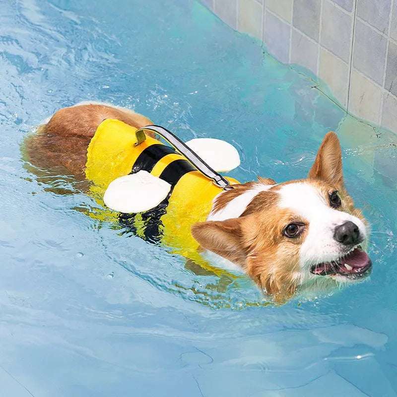 Gilet pour chien haute visibilité et sécurité