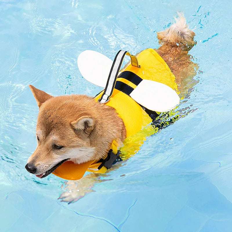 Gilet pour chien haute visibilité et sécurité