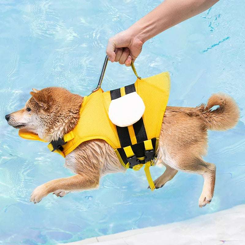 Gilet pour chien haute visibilité et sécurité