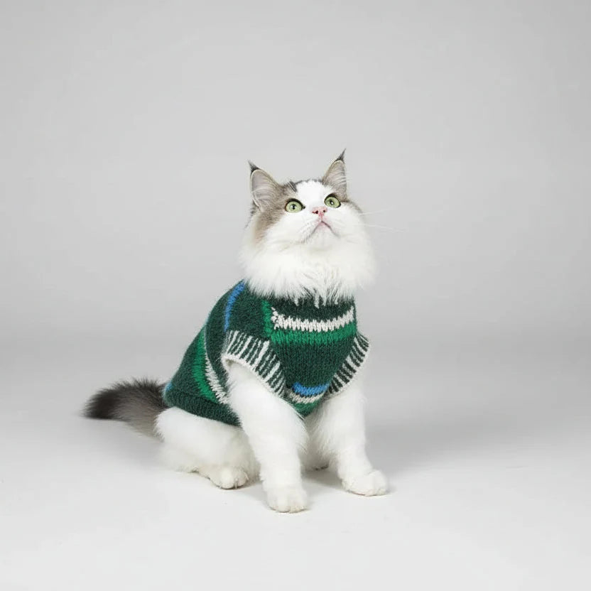 Pull Rayé En Laine Col Haut Pour Chat