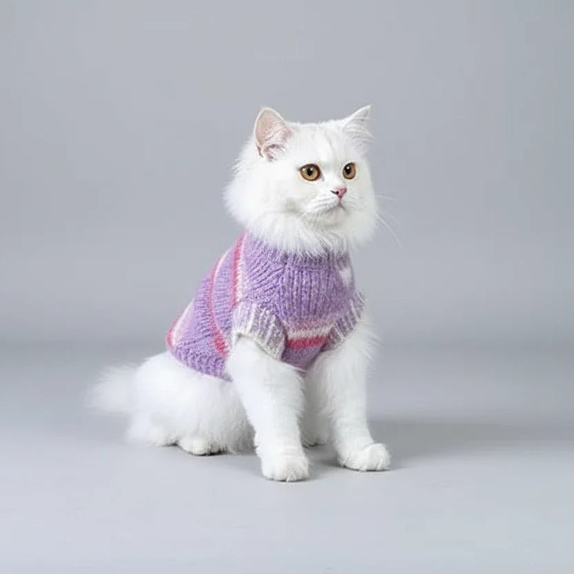 Pull Rayé En Laine Col Haut Pour Chat