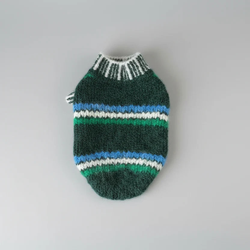 Gilet en laine pour chat vert et bleu avec un design rayé élégant et confortable