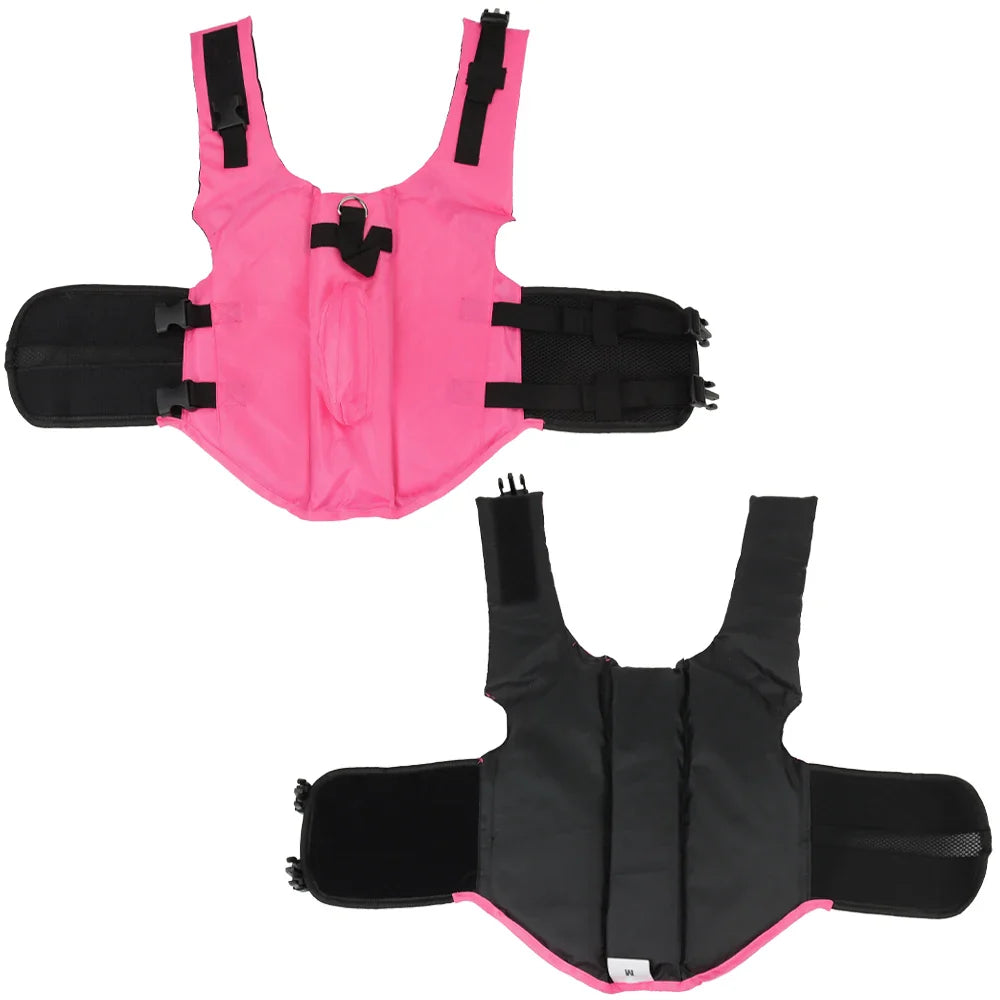 Oscar et Plume Gilet Flottant Chien Design Requin