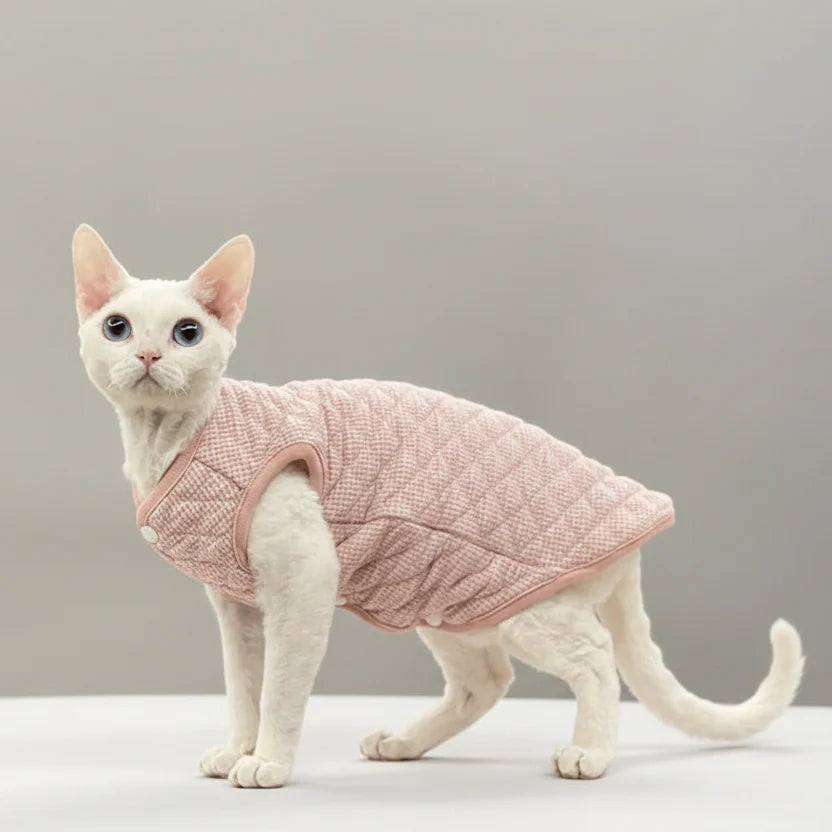 Gilet Manches Courtes Confort Pour Chat