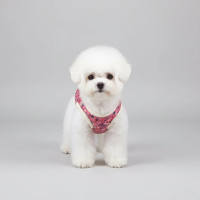 Gilet Pour Chien Imprimé Floral Et Coloré