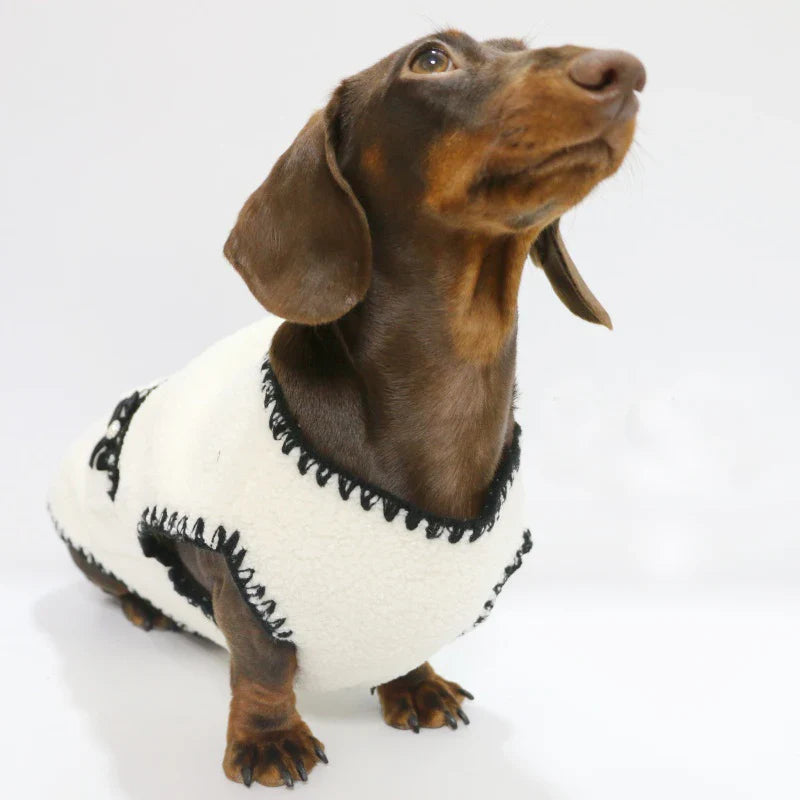 Chien teckel portant un gilet pour petit chien en matière douce blanche avec bordure noire
