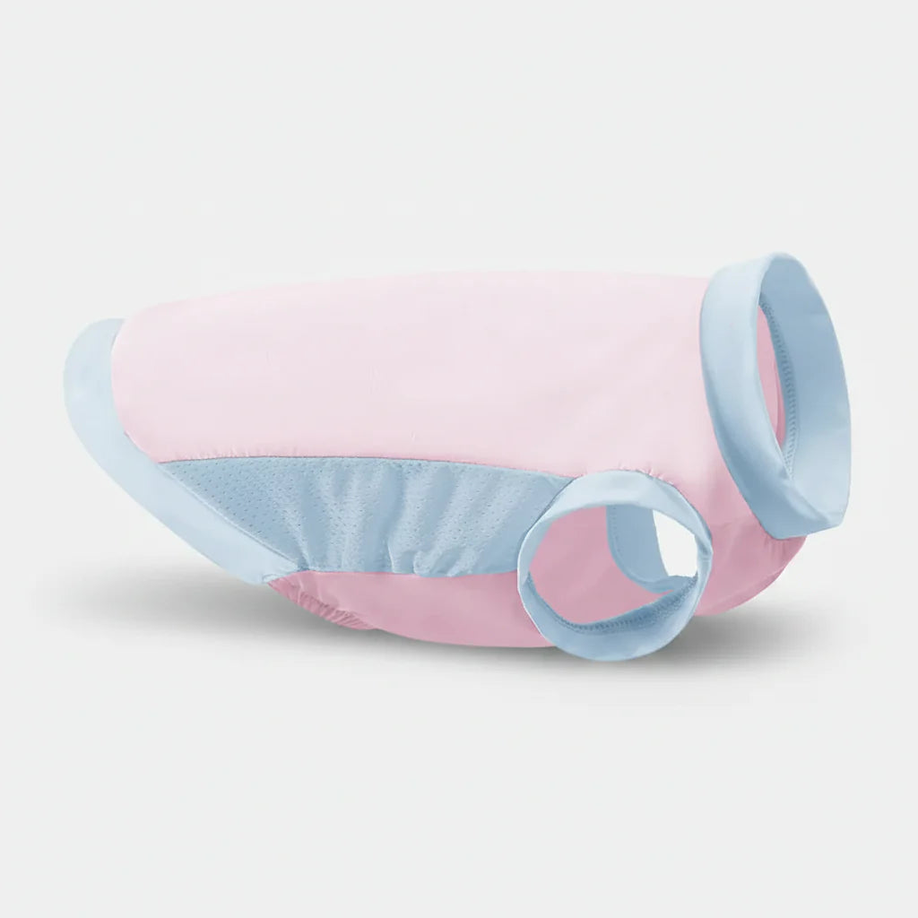 Gilet rafraîchissant chien et chat en rose et bleu, idéal pour garder vos animaux au frais