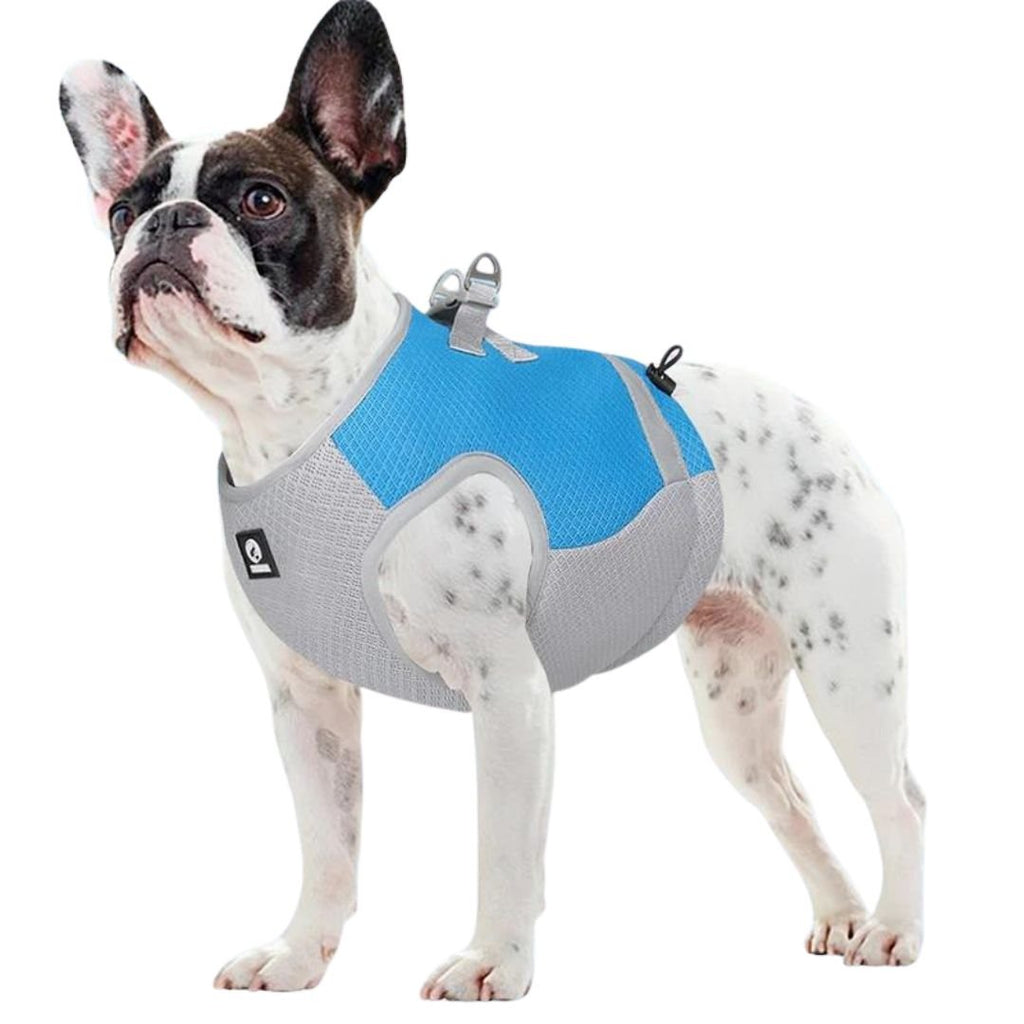 Gilet Rafraîchissant Confort Pour Chien