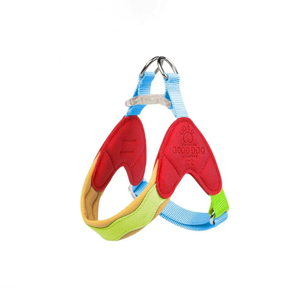 Harnais pour petit chien coloré avec rembourrage et boucle en métal pour un confort optimal