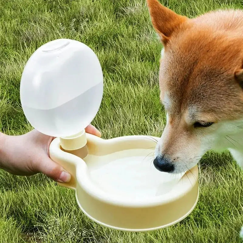 Gourde Avec Gamelle Intégrée Chien Et Chat - Les Bonnes Affaires