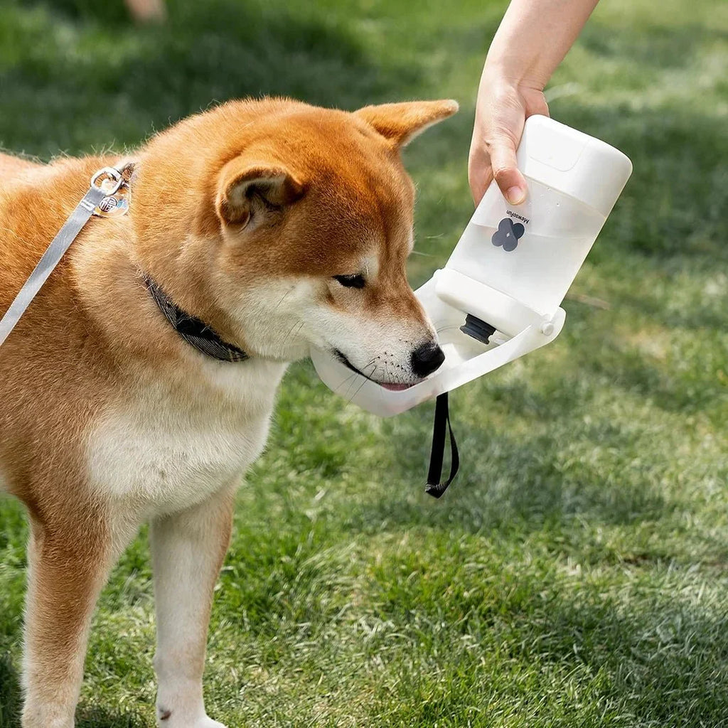 Gourde De Voyage Pour Chien Et Chat