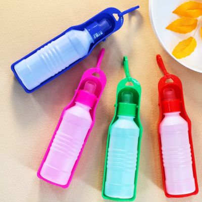 Gourde pour Chien 500ml